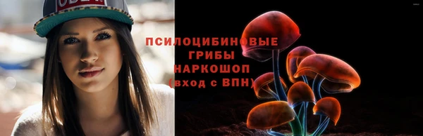 PSILOCYBIN Новокубанск