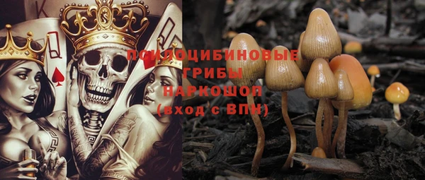 спайс Новозыбков