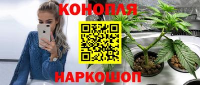 кокс Заводоуковск