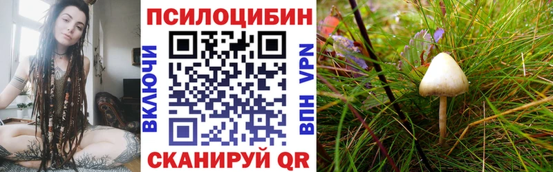 МЕГА онион  Муравленко  Галлюциногенные грибы Psilocybe 