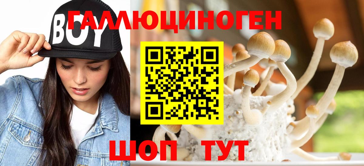 продажа наркотиков  Вход с VPN  Псилоцибиновые грибы ЛСД  Муравленко  Галлюциногенные грибы Psilocybine cubensis 
